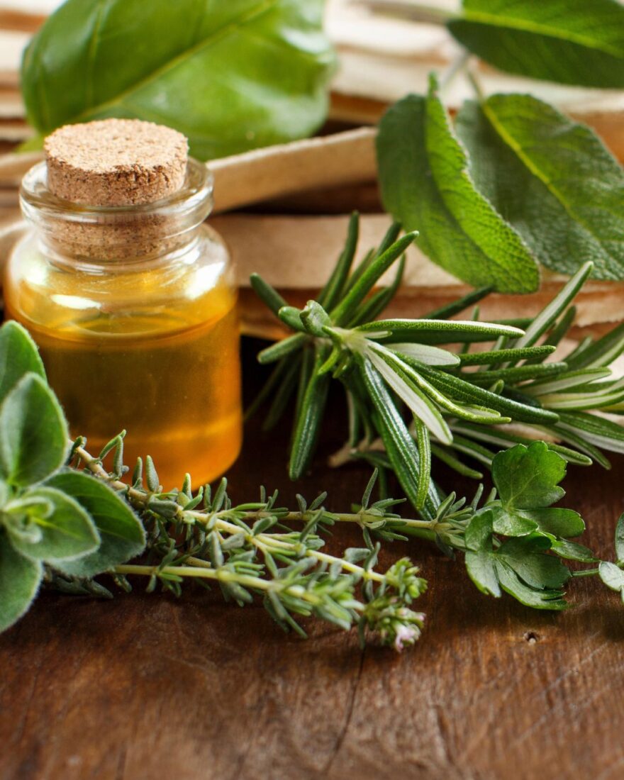 Frische mediterrane Kräuter wie Rosmarin, Thymian, Petersilie und Oregano in kleiner Glasflasche mit Olivenöl auf Holzuntergrund