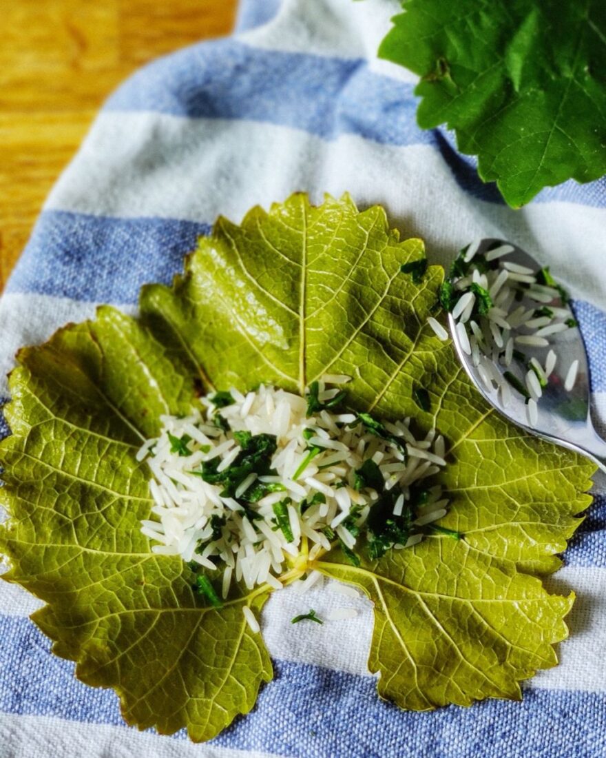 Ein vorbereitetes Weinblatt mit Reis und frischen Kräutern als Füllung für Dolmádes.