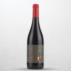 Pilinos Naturwein aus Griechenland – Bio-Rotwein aus Merlot und Moschomavro in der 0,75-Liter-Flasche.