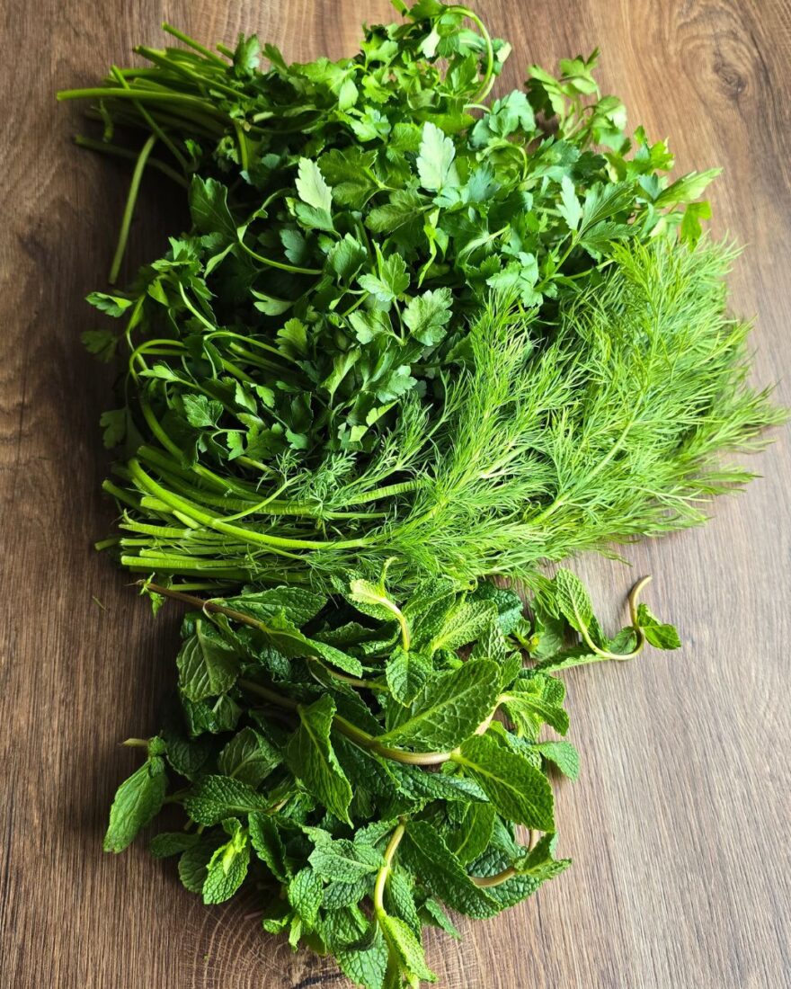 Frische mediterrane Kräuter: Dill, Petersilie und Minze – die perfekte Würze für Giouvarlakia.