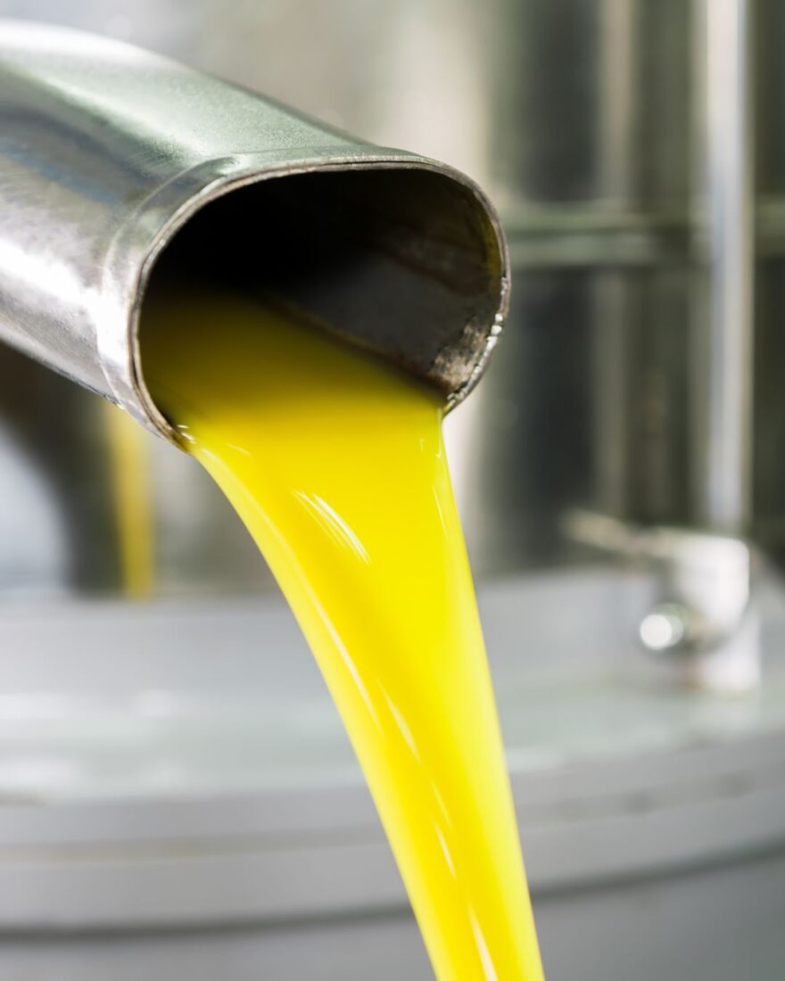 Der Unterschied zwischen kaltgepresst & kaltextrahiert – und was wirklich zählt 6 Frisch kaltextrahiertes Olivenöl fließt aus moderner Edelstahl-Zentrifuge in der Ölmühle