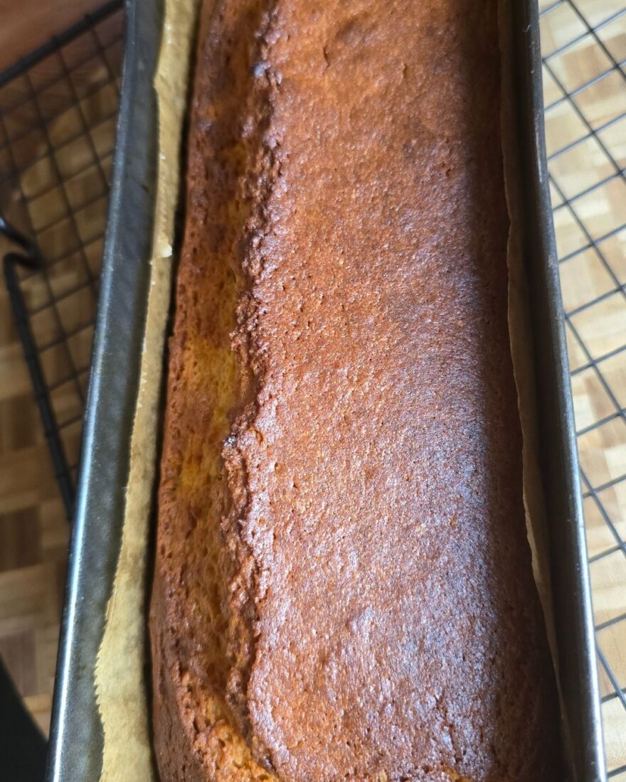 Olivenölkuchen Rezept – saftig, einfach & mit Joghurt 6 Frisch gebackener Olivenölkuchen in der Kastenform