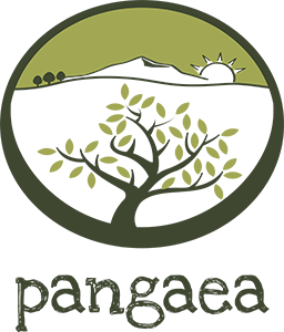 pangaea logo 1