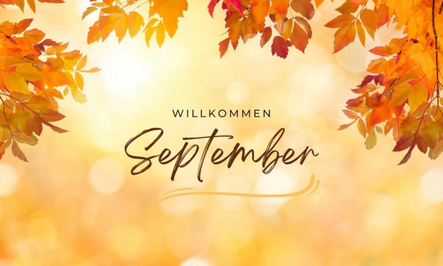 Willkommen, September! Pangaea Olivenöl aus Griechenland