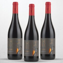 3er-Set Estate Seitanidis PILINOS Merlot – Moschomavro Naturwein PGI BIOWEIN aus Griechenland.
