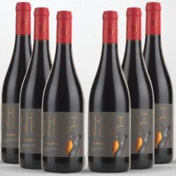 6er-Set Estate Seitanidis PILINOS Merlot – Moschomavro Naturwein PGI BIOWEIN aus Griechenland.
