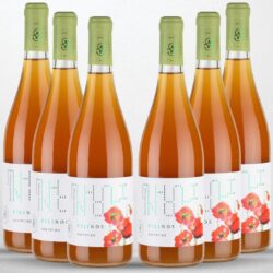 Sechs Flaschen Estate Seitanidis PILINOS Assyrtiko – Bio-Orangewein aus Griechenland.